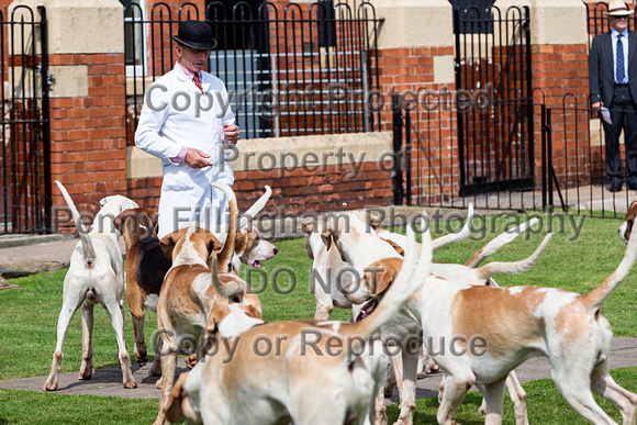 Grove_and_Rufford_Puppy_Show_9th_June_2018_025