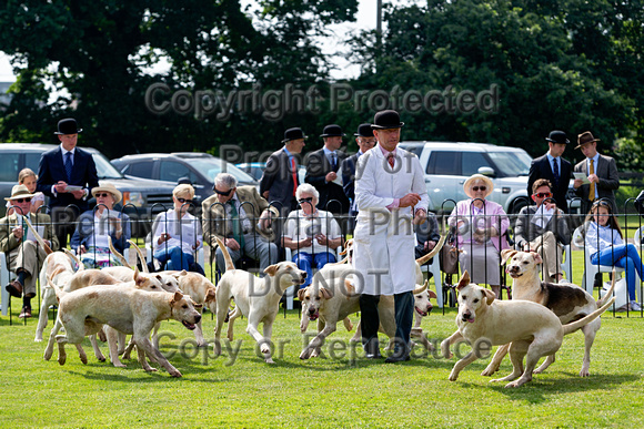 Grove_and_Rufford_Puppy_Show_9th_June_2018_092