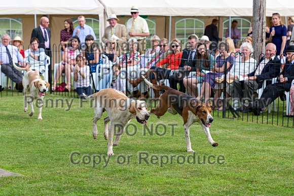 Grove_and_Rufford_Puppy_Show_9th_June_2018_050