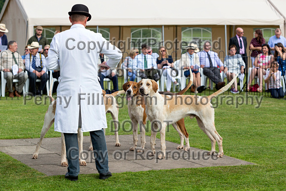 Grove_and_Rufford_Puppy_Show_9th_June_2018_046