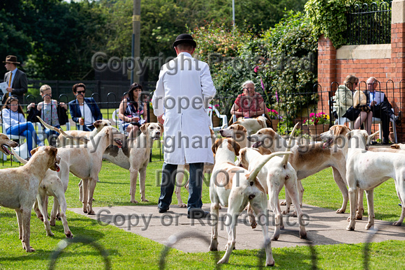Grove_and_Rufford_Puppy_Show_9th_June_2018_096