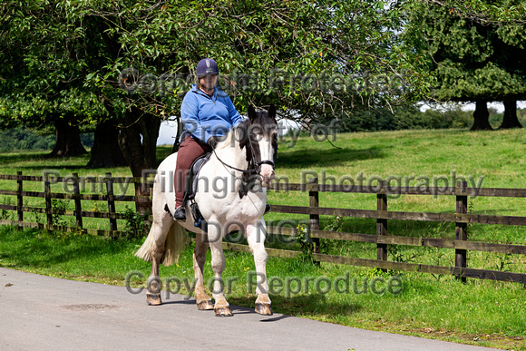 Grove_and_Rufford_and Barlow_Ride_Wentworth_11th_Aug _2019_216