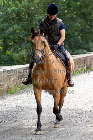 Grove_and_Rufford_and Barlow_Ride_Wentworth_11th_Aug _2019_087
