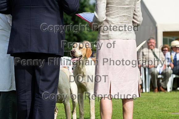 Grove_and_Rufford_Puppy_Show_9th_June_2018_111
