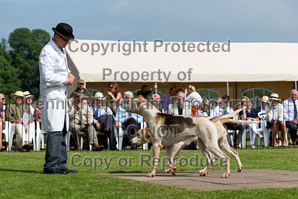 Grove_and_Rufford_Puppy_Show_9th_June_2018_065