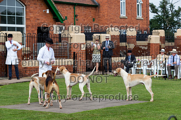 Grove_and_Rufford_Puppy_Show_9th_June_2018_044