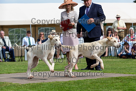 Grove_and_Rufford_Puppy_Show_9th_June_2018_068