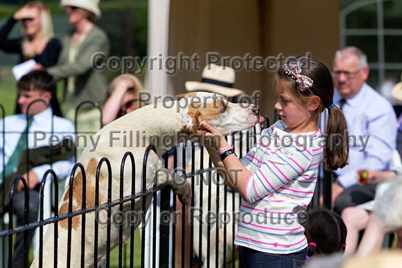Grove_and_Rufford_Puppy_Show_9th_June_2018_083