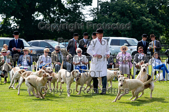 Grove_and_Rufford_Puppy_Show_9th_June_2018_093
