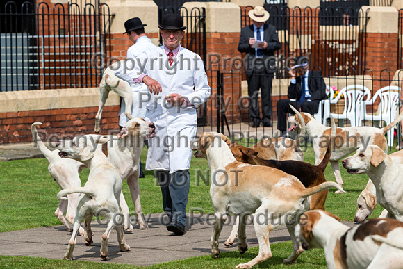 Grove_and_Rufford_Puppy_Show_9th_June_2018_032