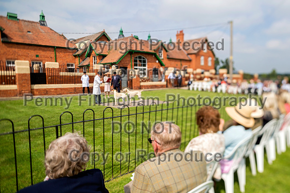 Grove_and_Rufford_Puppy_Show_9th_June_2018_053