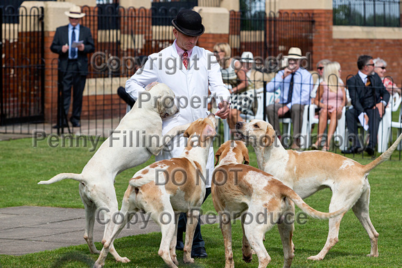 Grove_and_Rufford_Puppy_Show_9th_June_2018_039