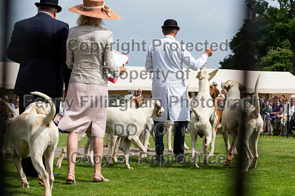 Grove_and_Rufford_Puppy_Show_9th_June_2018_022