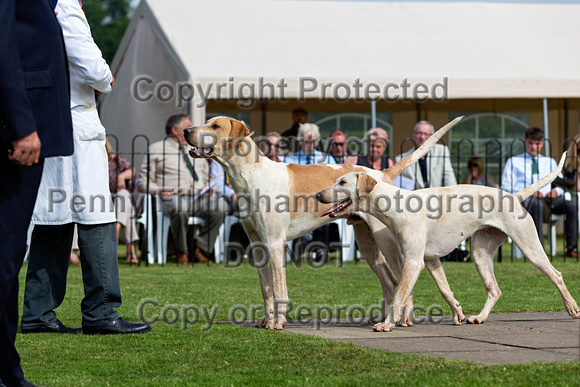 Grove_and_Rufford_Puppy_Show_9th_June_2018_110