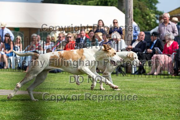 Grove_and_Rufford_Puppy_Show_9th_June_2018_060