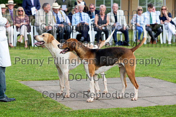 Grove_and_Rufford_Puppy_Show_9th_June_2018_045