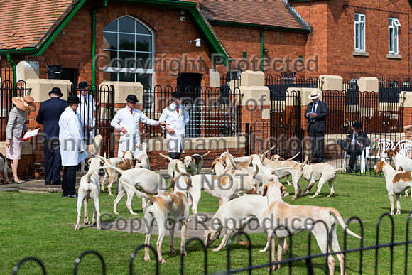 Grove_and_Rufford_Puppy_Show_9th_June_2018_075