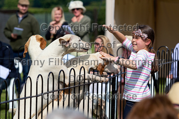 Grove_and_Rufford_Puppy_Show_9th_June_2018_080