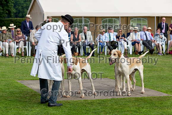 Grove_and_Rufford_Puppy_Show_9th_June_2018_048