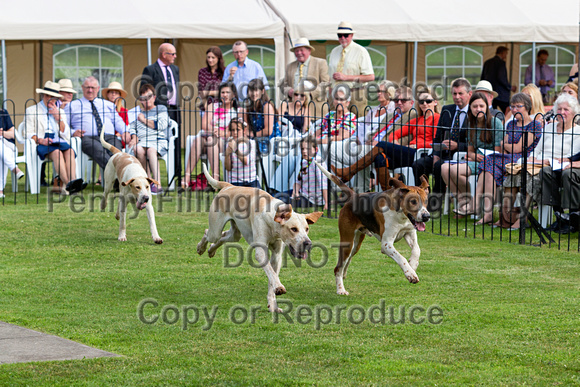 Grove_and_Rufford_Puppy_Show_9th_June_2018_049