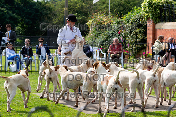 Grove_and_Rufford_Puppy_Show_9th_June_2018_095