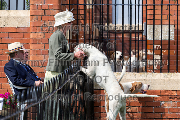 Grove_and_Rufford_Puppy_Show_9th_June_2018_036