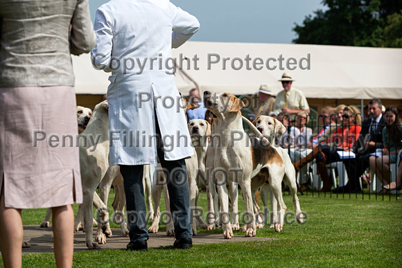 Grove_and_Rufford_Puppy_Show_9th_June_2018_024