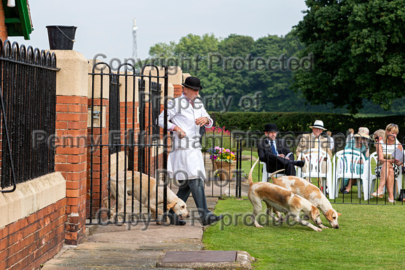 Grove_and_Rufford_Puppy_Show_9th_June_2018_051