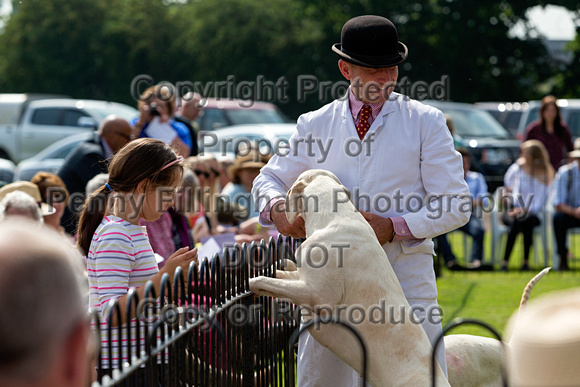 Grove_and_Rufford_Puppy_Show_9th_June_2018_089
