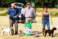 Grove_and_Rufford_Show_Winners_18th_July_2015_011
