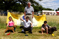 Grove_and_Rufford_Show_Winners_18th_July_2015_012