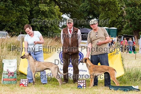 Grove_and_Rufford_Show_Winners_18th_July_2015_006
