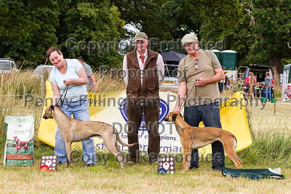 Grove_and_Rufford_Show_Winners_18th_July_2015_007