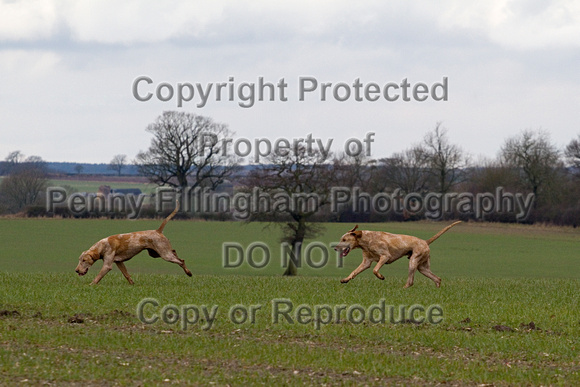 Grove_and_Rufford_Laxton_16th_March_2013.382