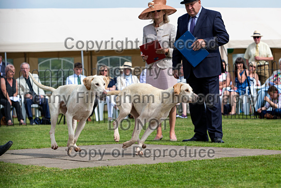 Grove_and_Rufford_Puppy_Show_9th_June_2018_067