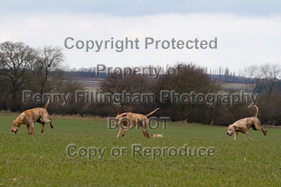 Grove_and_Rufford_Laxton_16th_March_2013.381