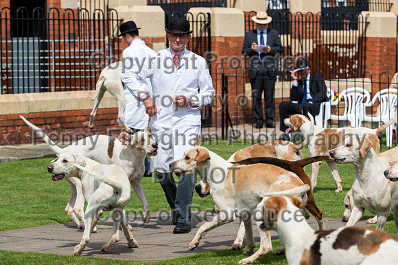 Grove_and_Rufford_Puppy_Show_9th_June_2018_033