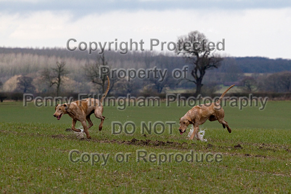 Grove_and_Rufford_Laxton_16th_March_2013.383