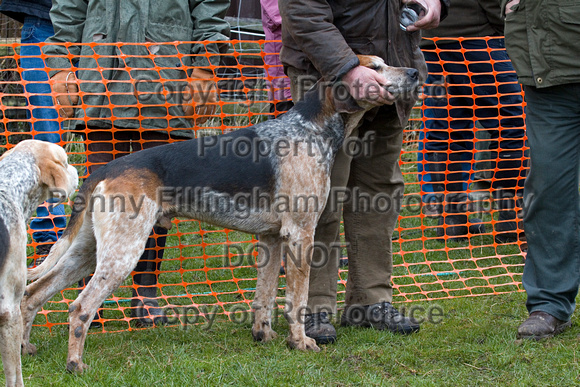 Grove_and_Rufford_Laxton_16th_March_2013.129