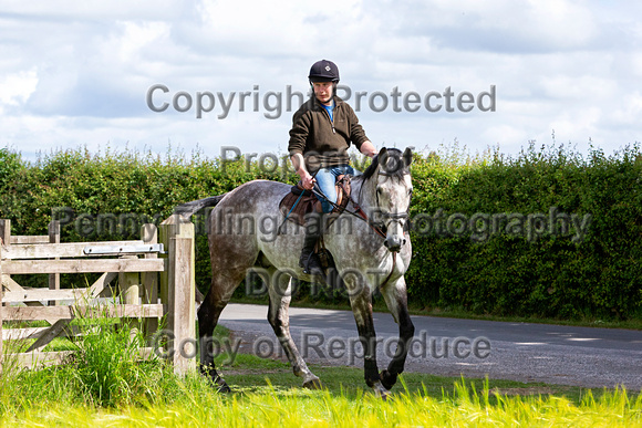 Grove_and_Rufford_Ride_Bothamsall_29th_May_2022_004