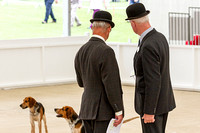 Great_Yorkshire_Show_Morning_Classes_14th_July_2015_011