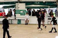 Great_Yorkshire_Show_Morning_Classes_14th_July_2015_015