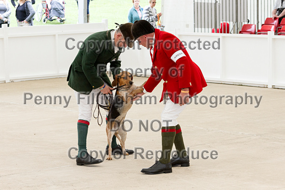 Great_Yorkshire_Show_Morning_Classes_14th_July_2015_012