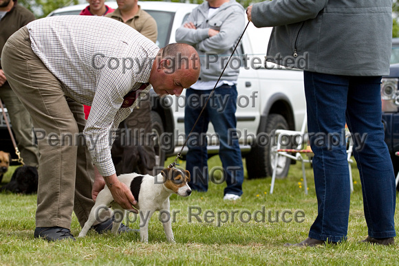 Cottesmore_Open_Day_Terriers_8th_June_2013_.014