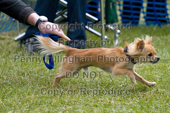 Dogs_Unleashed_Sat_Have_a_Go_22nd_June_2013_.0574