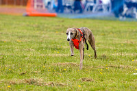 Dogs_Unleashed_Sat_Have_a_Go_22nd_June_2013_.0012
