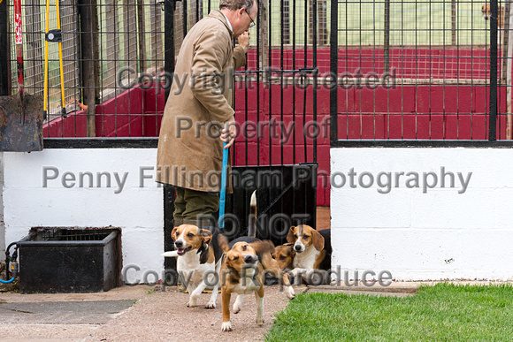 Great_Yorkshire_Show_Morning_Classes_14th_July_2015_002