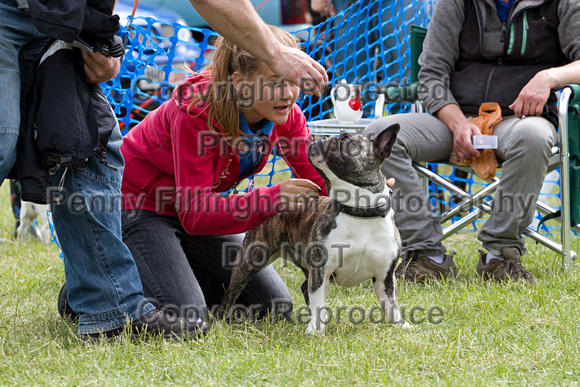 Dogs_Unleashed_Sat_Have_a_Go_22nd_June_2013_.0792