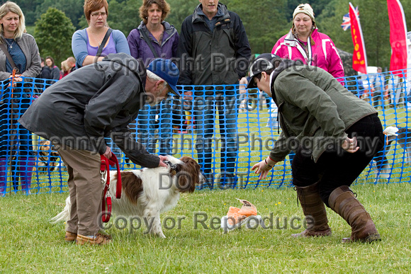 Dogs_Unleashed_Sat_Have_a_Go_22nd_June_2013_.0020