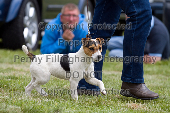Cottesmore_Open_Day_Terriers_8th_June_2013_.017